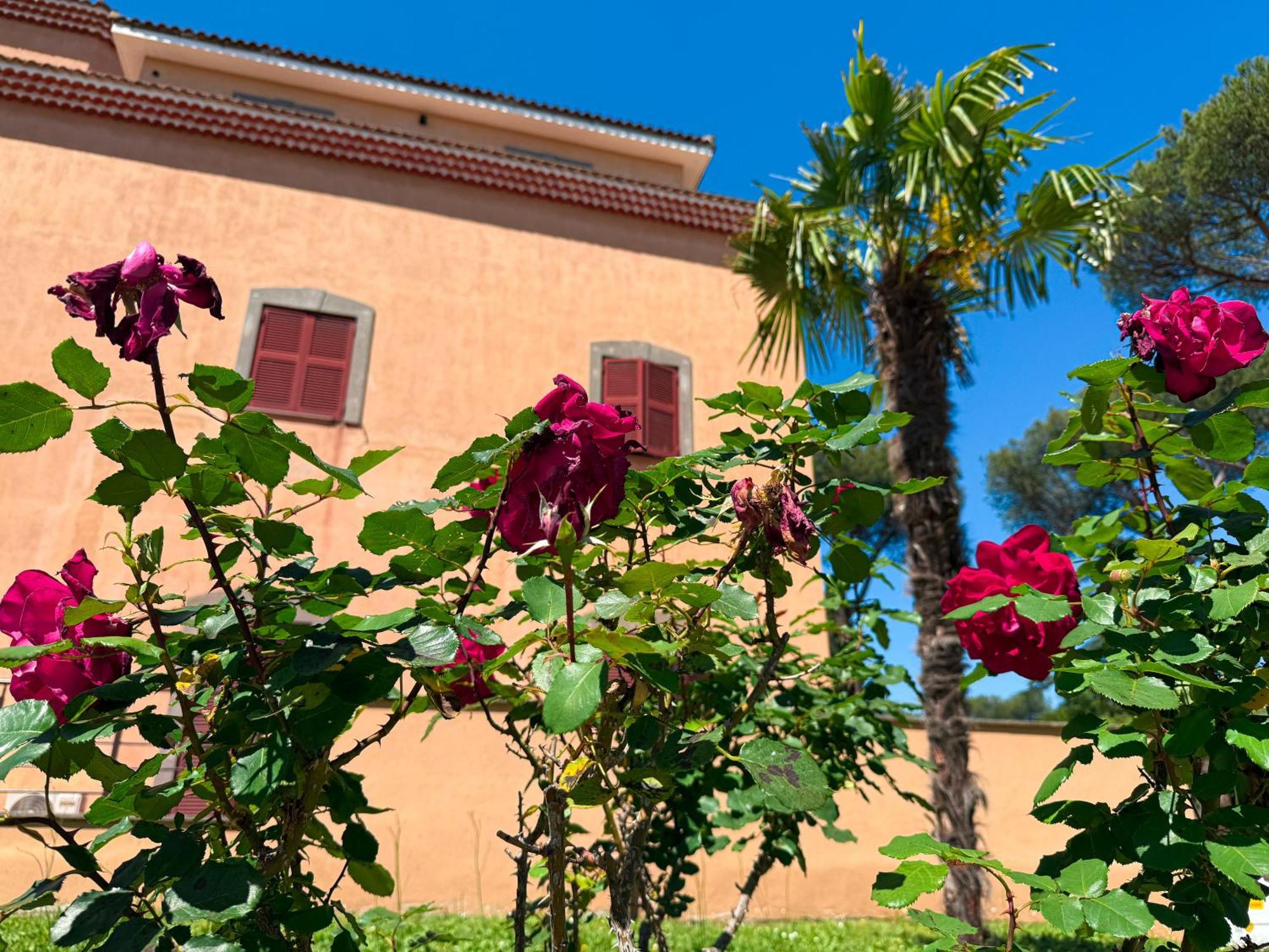 Hotell Due Leoni